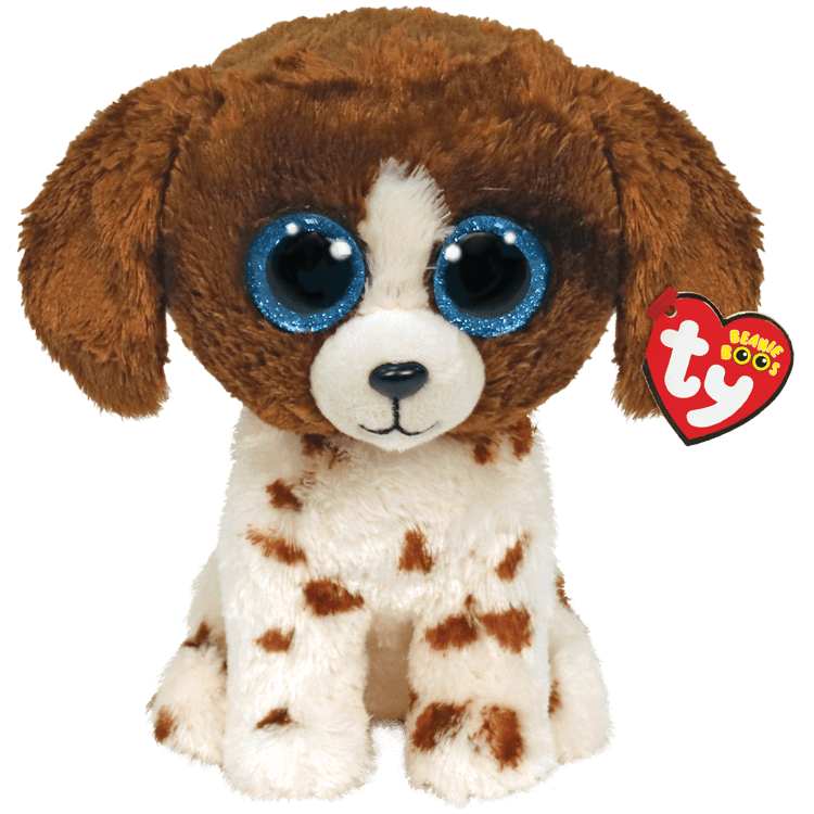 Muddles Brown & White Dog