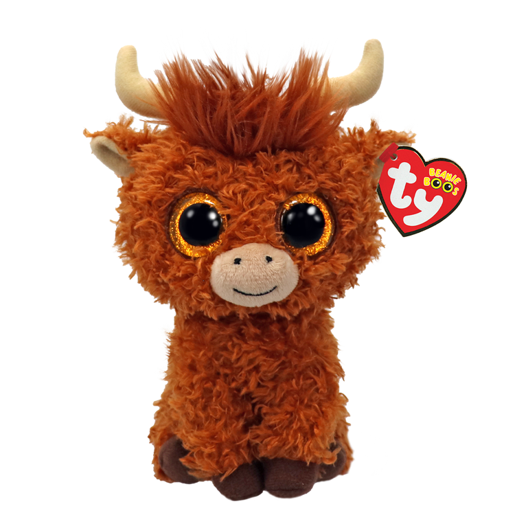Alfie the Brown Highland Cow